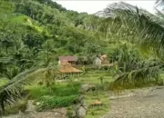 Dusun Karangtengah, Kampung Indah di Perbatasan Indonesia – Australia