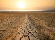 El Nino Ancam 560.000 Ha Lahan Pertanian